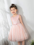 Kids Little Girls' Princess Cute Dresses Birthday Dress Party Dresses Children's Occasion Wear - dressblee