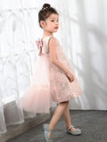 Kids Little Girls' Princess Cute Dresses Birthday Dress Children's Occasion Wear Party Dresses - dressblee