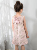 Kids Little Girls' Princess Cute Dresses Birthday Dress Children's Occasion Wear Party Dresses - dressblee