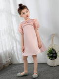 Kids Princess Cute Dresses Birthday Dress Children's Occasion Wear Party Dresses - dressblee