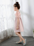 Kids Princess Cute Dresses Birthday Dress Children's Occasion Wear Party Dresses - dressblee