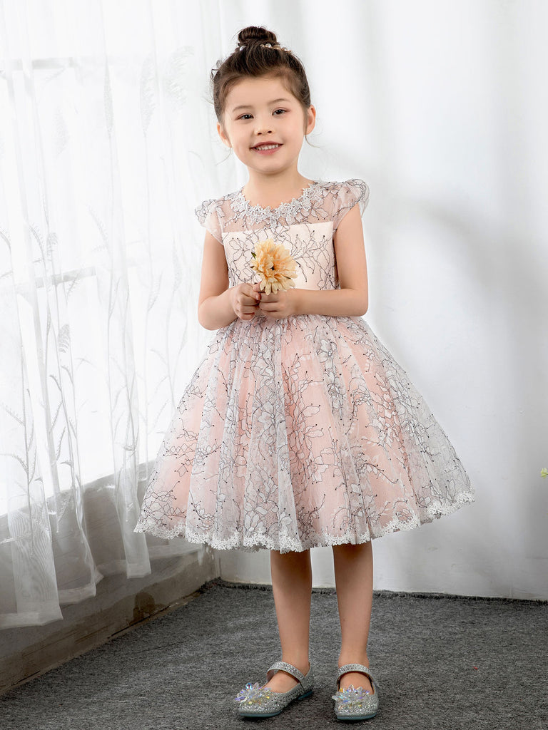 Kids Princess Dresses Children's Occasion Party Dress Birthday Dress dressblee Kids Princess Dresses Children's Occasion Party Dress Birthday Dress dressblee