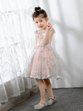Lace Kids Princess Cute Dresses Birthday Dress Children's Occasion Wear Party Dresses Girls Flower Dresses - dressblee