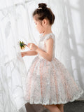 Lace Kids Princess Cute Dresses Birthday Dress Children's Occasion Wear Party Dresses Girls Flower Dresses - dressblee