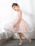 Lace Kids Princess Cute Dresses Birthday Dress Children's Occasion Wear Party Dresses Girls Flower Dresses - dressblee