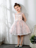 Lace Kids Princess Cute Dresses Birthday Dress Children's Occasion Wear Party Dresses Girls Flower Dresses - dressblee