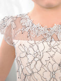 Lace Kids Princess Cute Dresses Birthday Dress Children's Occasion Wear Party Dresses Girls Flower Dresses - dressblee