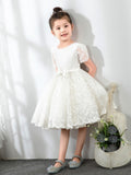 Lace Kids Princess Cute Dresses Short Sleeves Birthday Dress Children's Occasion Wear Party Dresses Girls Flower Dresses - dressblee