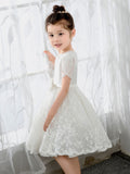 Lace Kids Princess Cute Dresses Short Sleeves Birthday Dress Children's Occasion Wear Party Dresses Girls Flower Dresses - dressblee