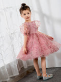 Kids Princess Cute Dresses Short Sleeves Birthday Dress Children's Occasion Wear Party Dresses Flower Girl Dresses