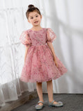Kids Princess Cute Dresses Short Sleeves Birthday Dress Children's Occasion Wear Party Dresses Flower Girl Dresses - dressblee