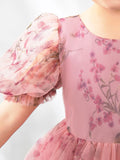 Kids Princess Cute Dresses Short Sleeves Birthday Dress Children's Occasion Wear Party Dresses Flower Girl Dresses - dressblee