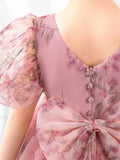 Kids Princess Cute Dresses Short Sleeves Birthday Dress Children's Occasion Wear Party Dresses Flower Girl Dresses - dressblee