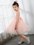 Kids Princess Cute Dresses Sleeveless Birthday Dress Children's Occasion Wear Party Dresses Flower Girl Dresses - dressblee