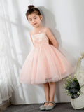 Kids Princess Cute Dresses Sleeveless Birthday Dress Children's Occasion Wear Party Dresses Flower Girl Dresses - dressblee