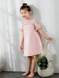 Fashion Kids Princess Cute Dresses Short Sleeves Birthday Dress Children's Occasion Wear Party Dresses Flower Girl Dresses - dressblee