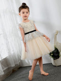 Fashion Kids Girls Princess Cute Dresses Sleeveless Birthday Dress Children's Occasion Wear Party Dresses Flower Girl Dresses - dressblee