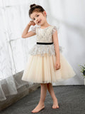 Fashion Kids Girls Princess Cute Dresses Sleeveless Birthday Dress Children's Occasion Wear Party Dresses Flower Girl Dresses - dressblee