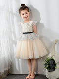 Fashion Kids Girls Princess Cute Dresses Sleeveless Birthday Dress Children's Occasion Wear Party Dresses Flower Girl Dresses - dressblee
