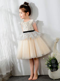 Fashion Kids Girls Princess Cute Dresses Sleeveless Birthday Dress Children's Occasion Wear Party Dresses Flower Girl Dresses - dressblee