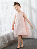 Girls Princess Cute Dresses Sleeveless Birthday Dress Children's Occasion Wear Party Dresses