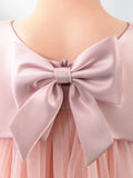 Girls Princess Cute Dresses Sleeveless Birthday Dress Children's Occasion Wear Party Dresses - dressblee