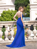 Mermaid / Column Elegant Fashion Formal Evening Dresses Spaghetti Strap Sleeveless with Slit Floor Length