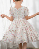 Kids Dress Girls Princess Cute Dresses Short Sleeves Birthday Dress Party Dresses - dressblee