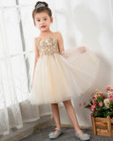 Kids Dress Girls Princess Cute Dresses Sleeveless Birthday Dress Party Dresses Kids Dresses Boutique