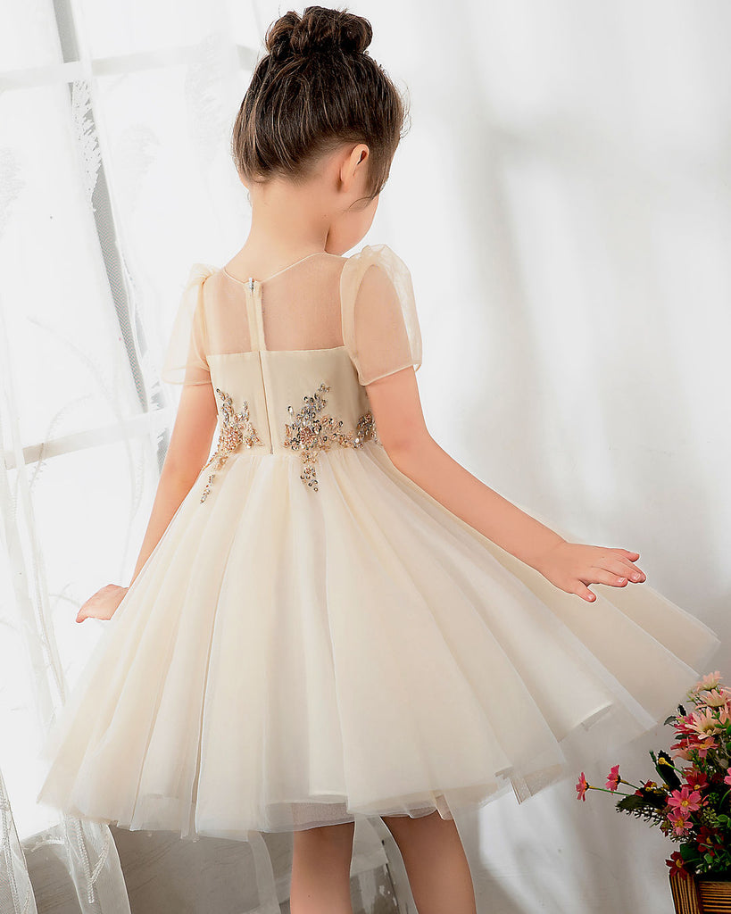 Pejock 6M-5 Years Kids Pageant Flower Girl Dress Little Girls Party Wedding  Formal Dresses Toddler Girls Net Yarn Embroidery Rhinestone Bowknot Sequins  Birthday Party Gown Long Dresses Headband Suit - Walmart.com