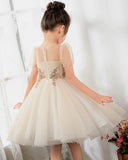 Kids Dress Girls Princess Cute Dresses Sleeveless Birthday Dress Party Dresses Kids Dresses Boutique - dressblee