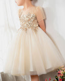 Kids Dress Girls Princess Cute Dresses Sleeveless Birthday Dress Party Dresses Kids Dresses Boutique - dressblee