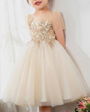 Kids Dress Girls Princess Cute Dresses Sleeveless Birthday Dress Party Dresses Kids Dresses Boutique - dressblee