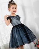 Dark Navy Lace Girls Princess Cute Dresses Birthday Dress Party Dresses Kids Dresses Boutique - dressblee