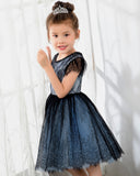 Dark Navy Lace Girls Princess Cute Dresses Birthday Dress Party Dresses Kids Dresses Boutique - dressblee