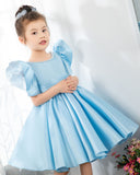 Light Blue Satin Girls Princess Cute Dresses Birthday Dress Party Dresses Kids Dresses Boutique - dressblee