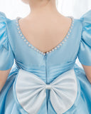 Light Blue Satin Girls Princess Cute Dresses Birthday Dress Party Dresses Kids Dresses Boutique - dressblee