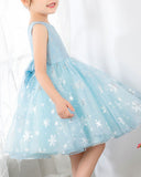 Light Blue Tulle Girls Princess Cute Dresses Birthday Dress Party Dresses Kids Dresses Boutique - dressblee