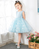 Light Blue Tulle Girls Princess Cute Dresses Birthday Dress Party Dresses Kids Dresses Boutique - dressblee