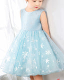 Light Blue Tulle Girls Princess Cute Dresses Birthday Dress Party Dresses Kids Dresses Boutique - dressblee