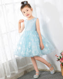 Light Blue Tulle Girls Princess Cute Dresses Birthday Dress Party Dresses Kids Dresses Boutique - dressblee