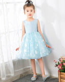 Light Blue Tulle Girls Princess Cute Dresses Birthday Dress Party Dresses Kids Dresses Boutique - dressblee
