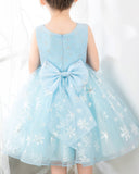 Light Blue Tulle Girls Princess Cute Dresses Birthday Dress Party Dresses Kids Dresses Boutique - dressblee