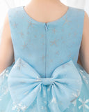 Light Blue Tulle Girls Princess Cute Dresses Birthday Dress Party Dresses Kids Dresses Boutique - dressblee