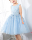 Light Blue Sleeveless Girls Princess Cute Dresses Birthday Dress Party Dresses Kids Dresses Boutique - dressblee
