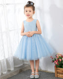 Light Blue Sleeveless Girls Princess Cute Dresses Birthday Dress Party Dresses Kids Dresses Boutique - dressblee