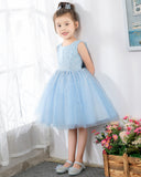Light Blue Sleeveless Girls Princess Cute Dresses Birthday Dress Party Dresses Kids Dresses Boutique - dressblee