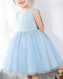 Light Blue Sleeveless Girls Princess Cute Dresses Birthday Dress Party Dresses Kids Dresses Boutique - dressblee