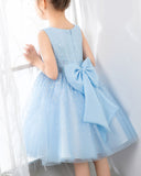 Light Blue Sleeveless Girls Princess Cute Dresses Birthday Dress Party Dresses Kids Dresses Boutique - dressblee