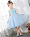 Light Blue Sleeveless Girls Princess Cute Dresses Birthday Dress Party Dresses Kids Dresses - dressblee